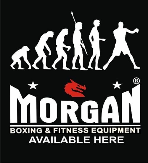 MORGAN EVOLUTION BANNER