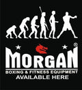 MORGAN EVOLUTION BANNER