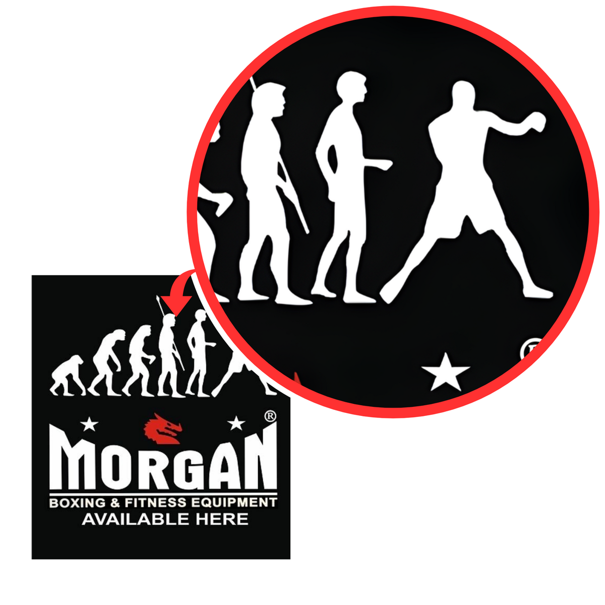 MORGAN EVOLUTION BANNER
