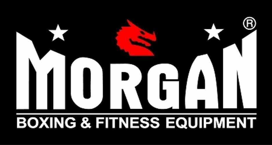 MORGAN LOGO BANNER (Small)