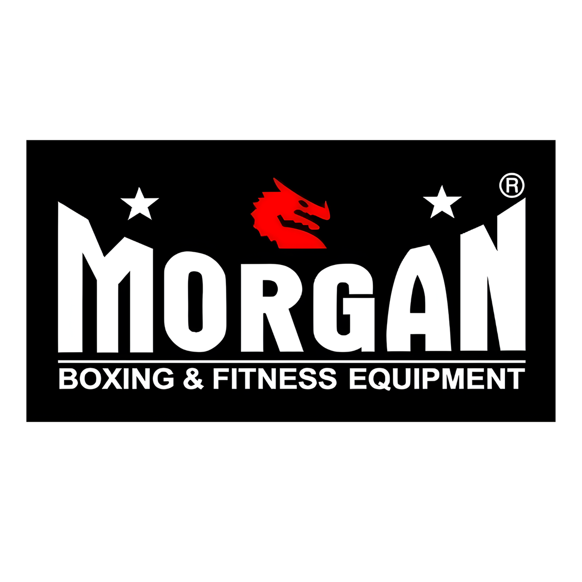 MORGAN LOGO BANNER (Small)