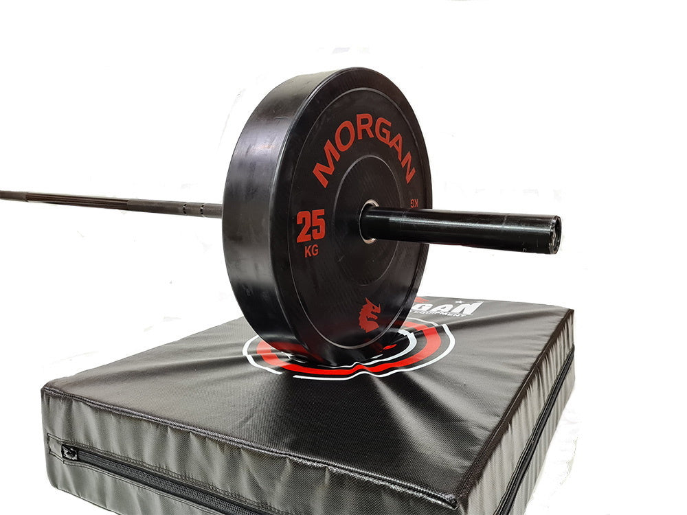 MORGAN DROP MAT (PAIR)