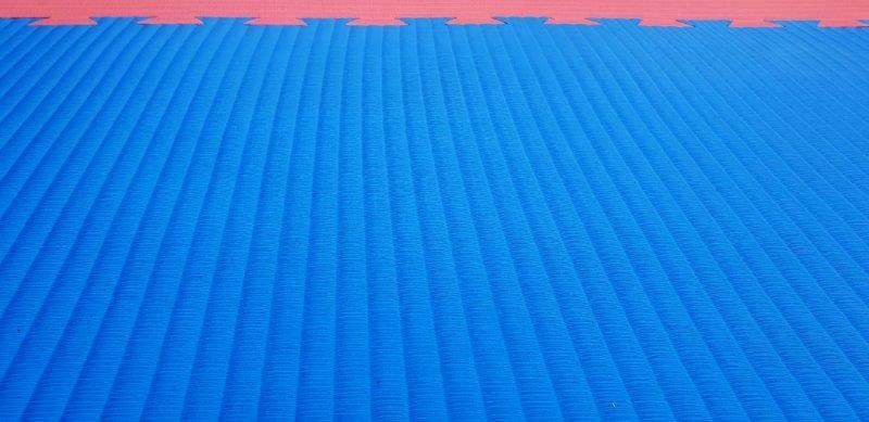 MORGAN 2cm TATAMI JIGSAW INTERLOCKING FLOOR MATS | PREMIUM GRADE [Red/Blue]
