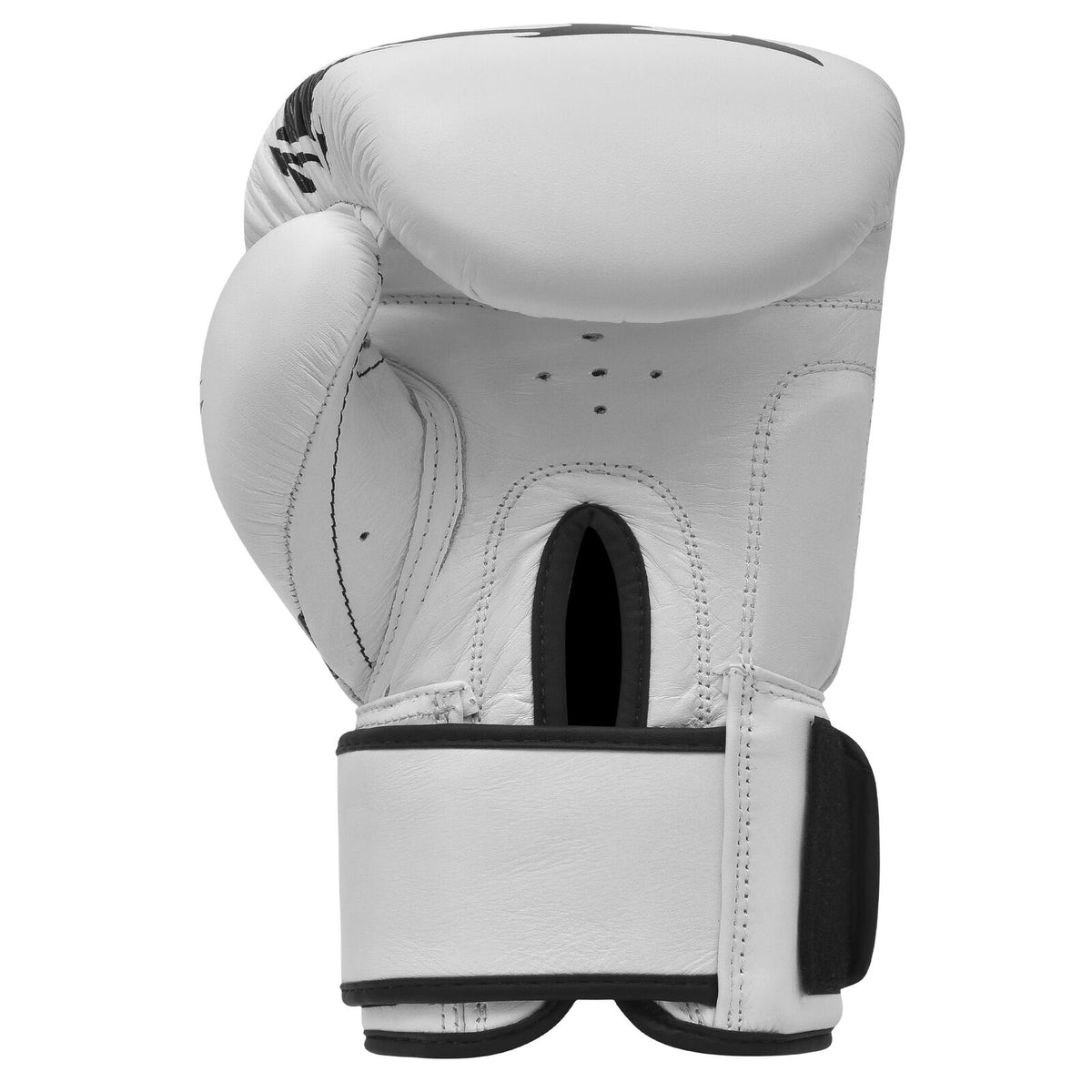 Morgan Sports Elite Boxing & Muay Thai Leather Gloves