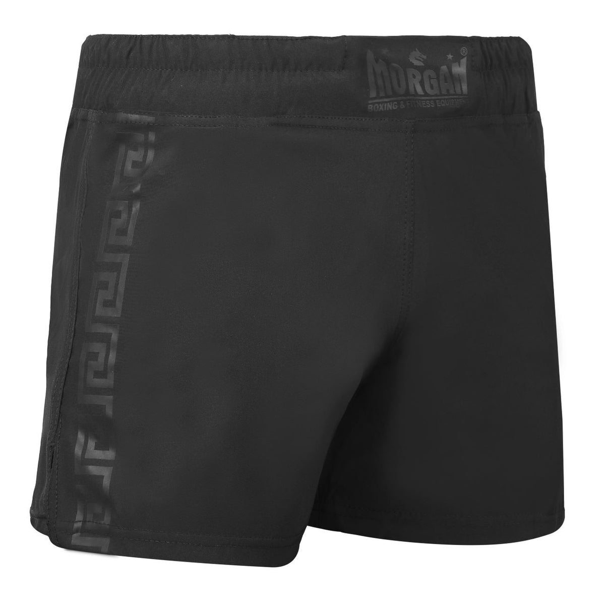 MORGAN B2 SERIES HIGH CUT MMA SHORTS [X-Large]